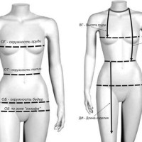 мерки размеров женской одежды