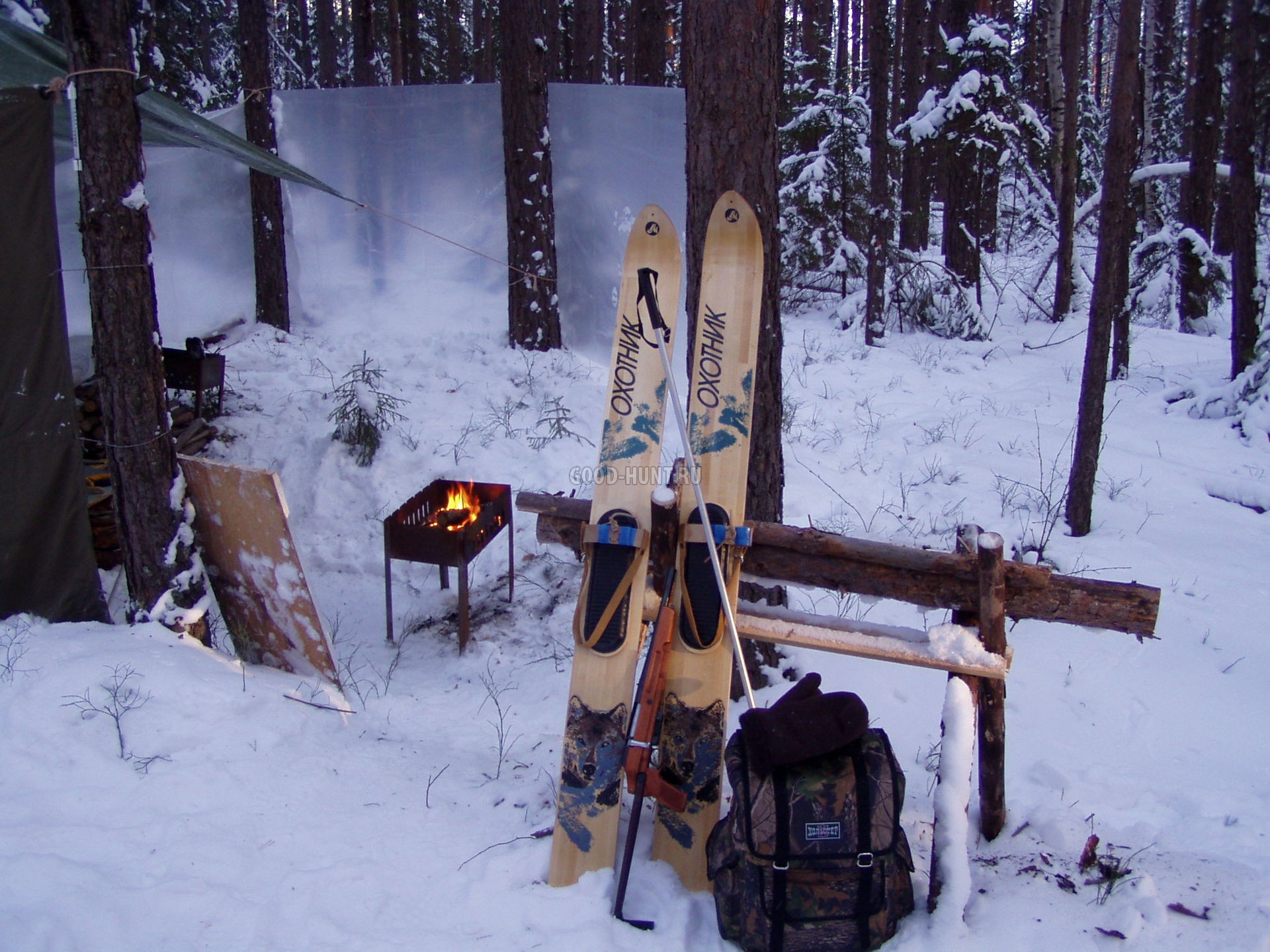 лыжи для охоты как выбрать